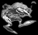 FarDarrig.JPG (4816 byte)