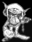 Sheoques.JPG (3746 byte)